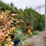 Sleep And Go Couette-café Mundelsheim