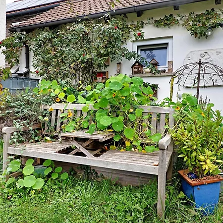 Sleep And Go Nocleg ze śniadaniem 3*